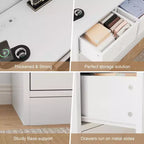 Cassettiera a 12 cassetti per camera da letto, mobile contenitore grande, mobile TV, cassettiera in legno, per soggiorno, corridoio
